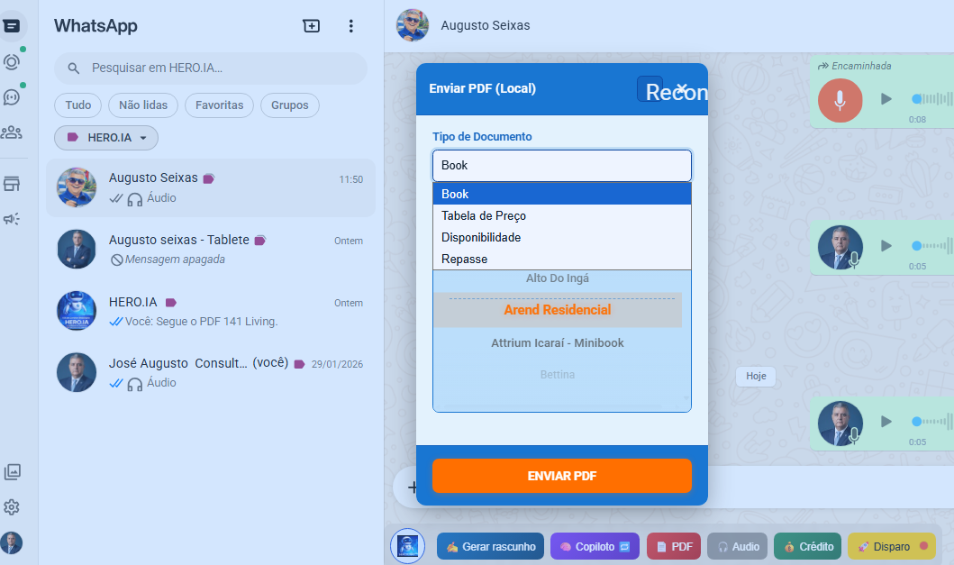 WhatsApp Web com botões HERO.IA (substitua a imagem)